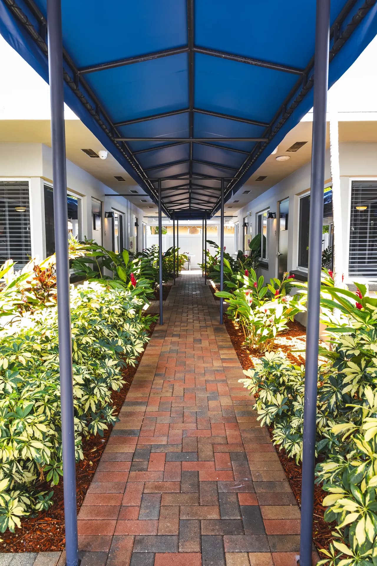 Dual Diagnosis Treatment