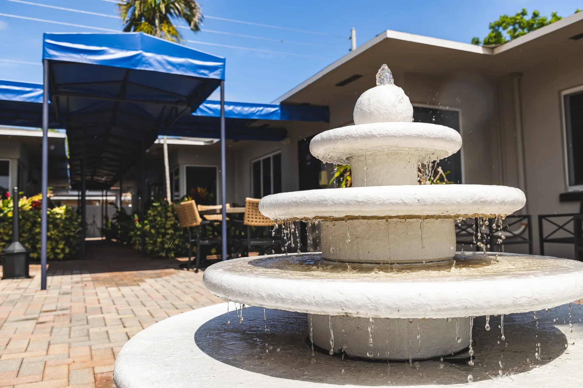 Holistic wellness activities