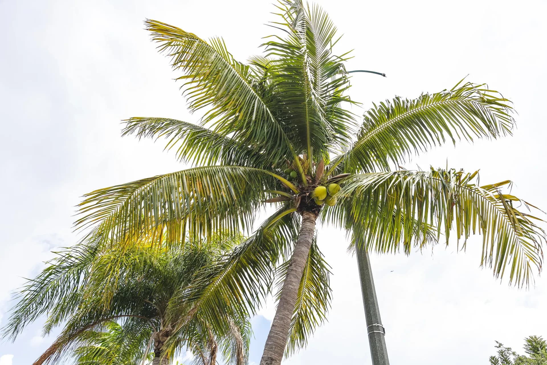 Individual therapy session